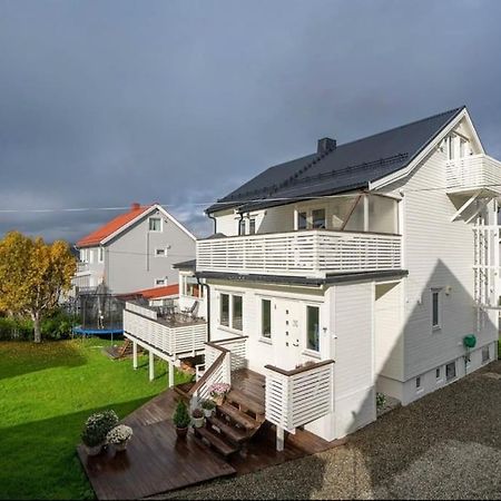 Tromso'S Best Location? City & Nature 5 Mins Away. ภายนอก รูปภาพ